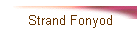 Strand Fonyod