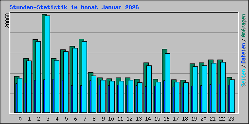 Stunden-Statistik im Monat Januar 2026