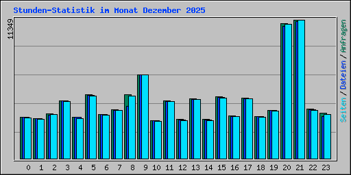 Stunden-Statistik im Monat Dezember 2025
