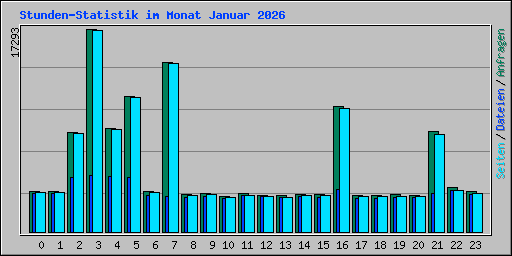 Stunden-Statistik im Monat Januar 2026