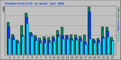 Stunden-Statistik im Monat Juni 2026